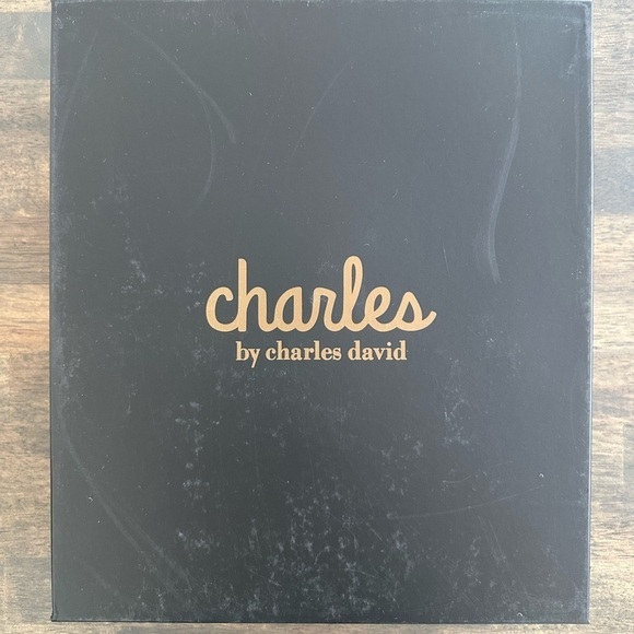 Charles by Charles David Vast Webbing Platform Sandals - Picture 5 of 9